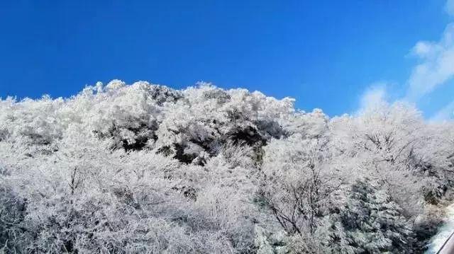 蓝狐视频