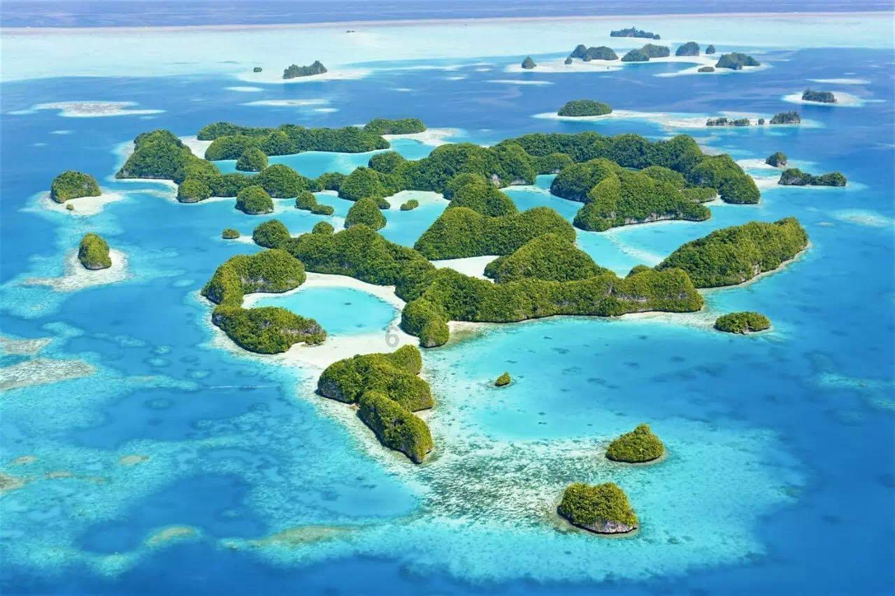 网红侵权再起波澜，判决书公布，网络舆论再现大逆转