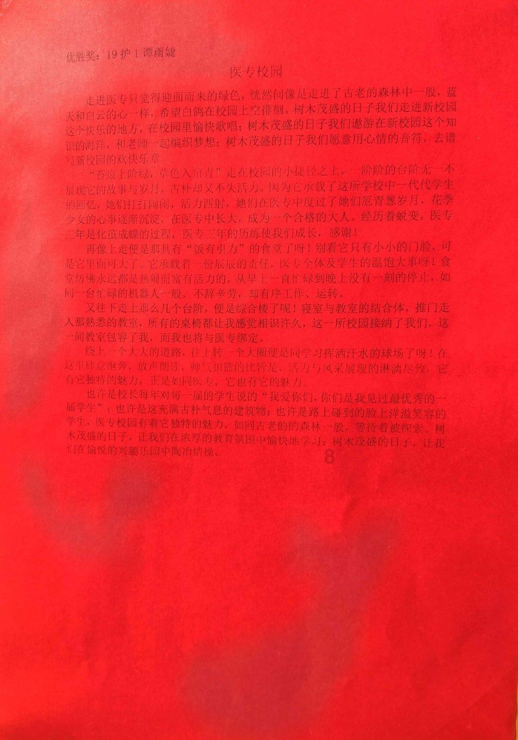 逃离天鹅森林