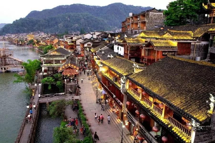 动物帮帮忙保卫家园
